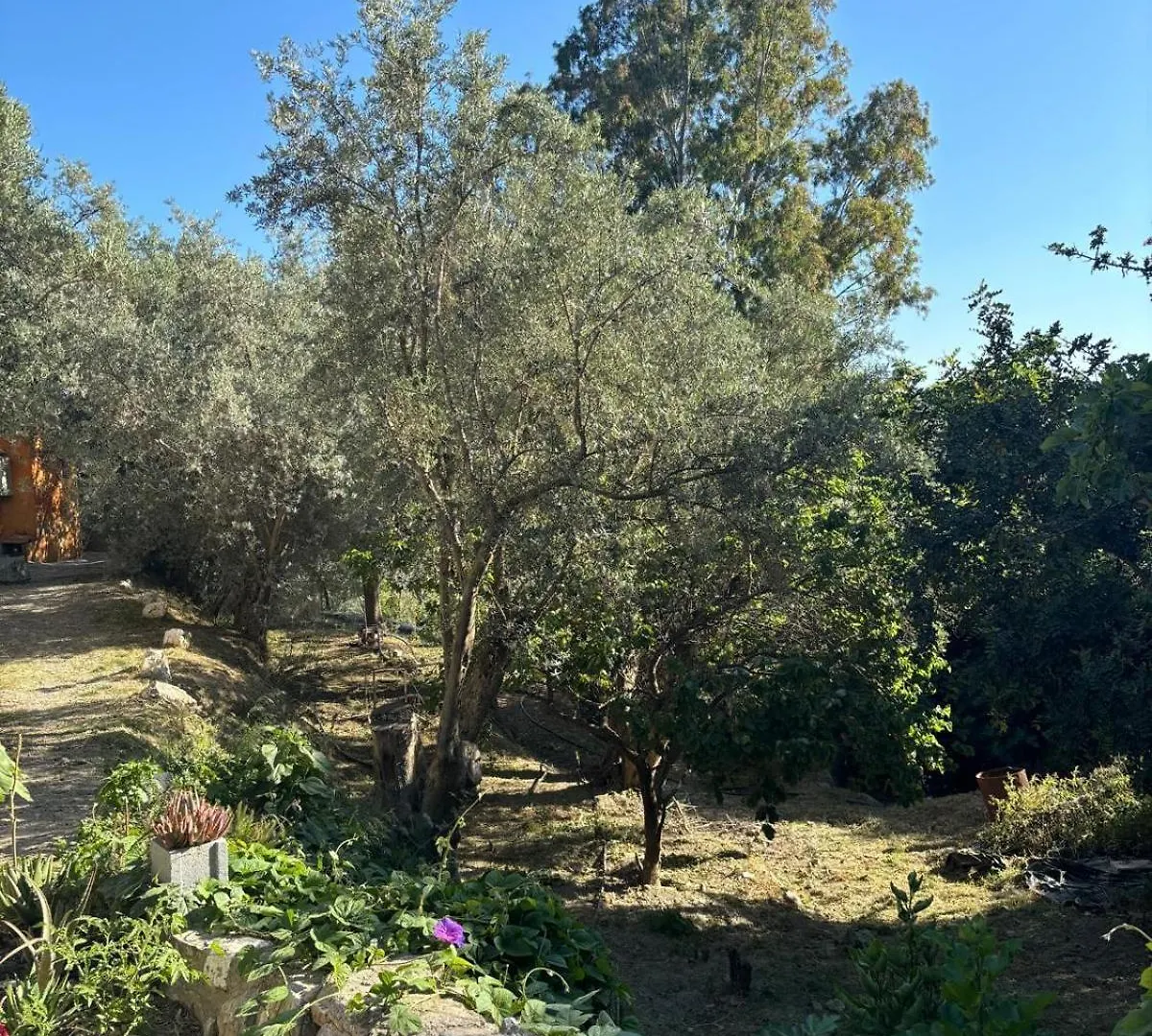 Cortijo Alpujarra Paradise Lanjaron 0*,  Spain